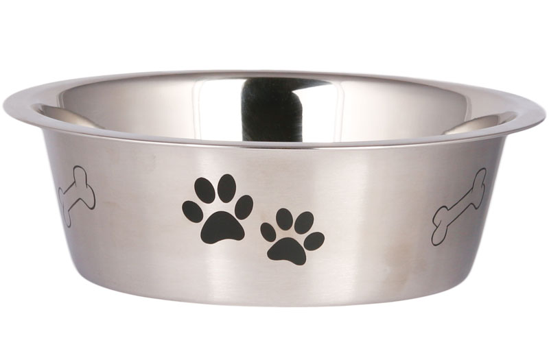 Pet Bowl Printed